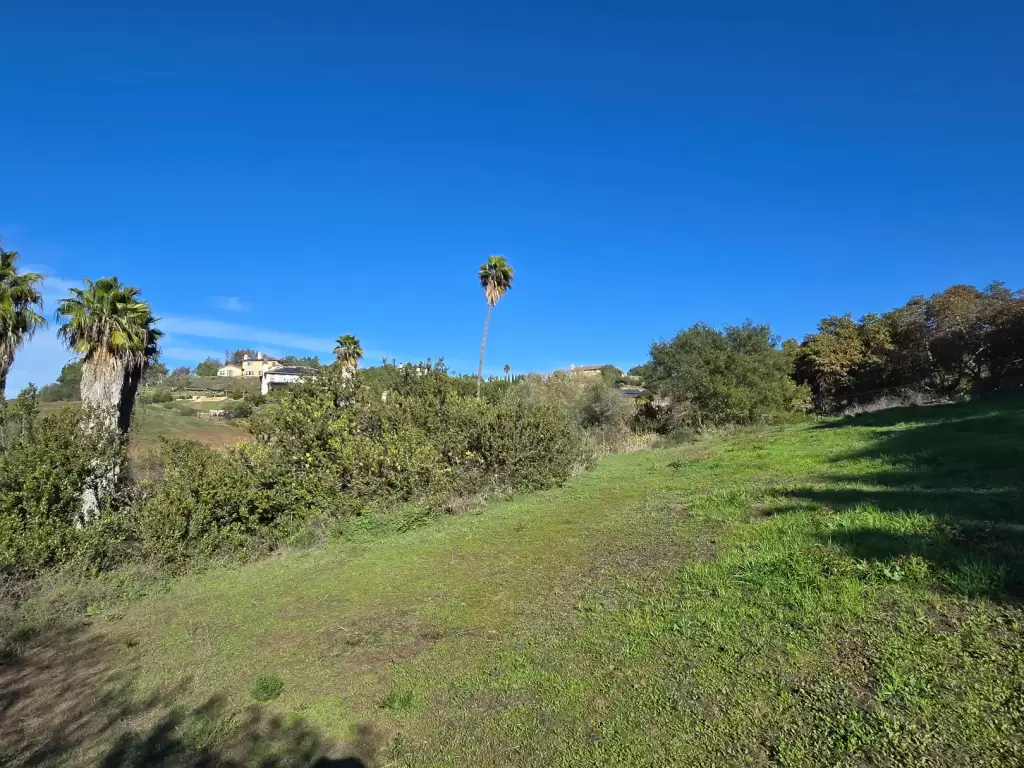 Bonsall 90 acres