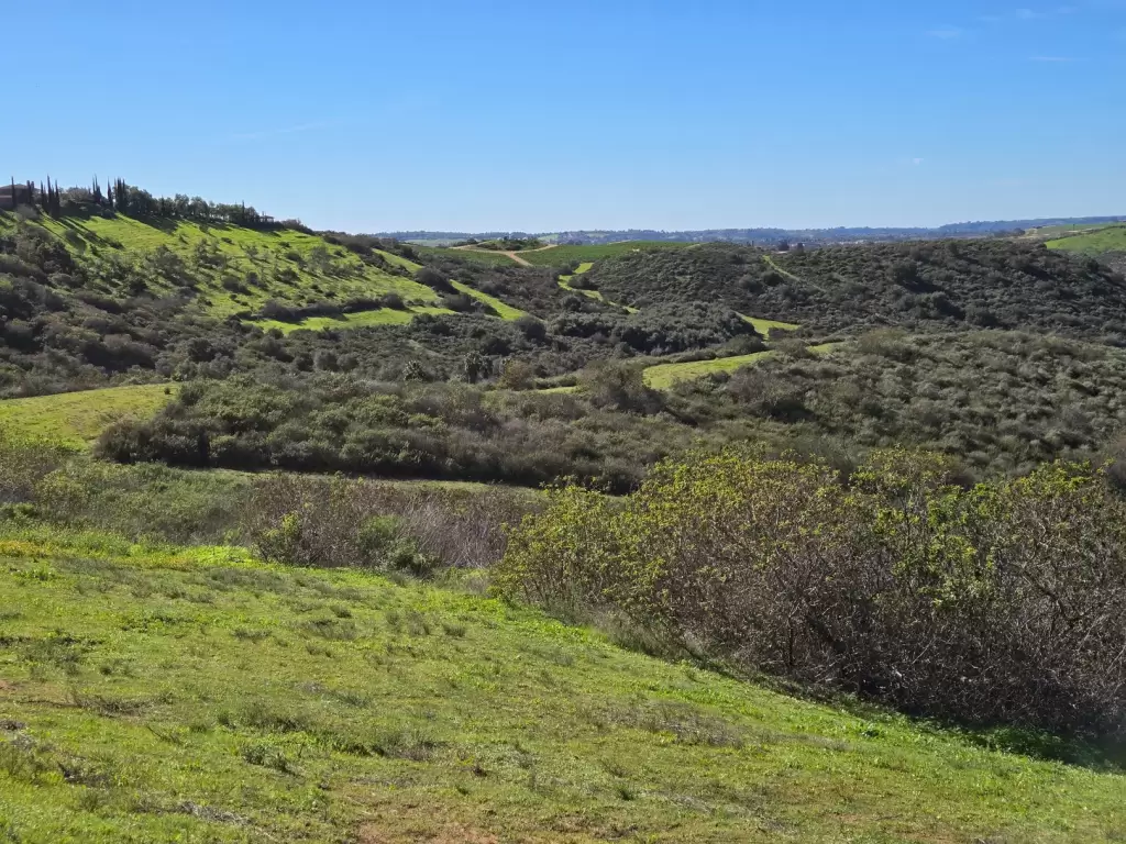 - Team Callne & Cuiroz View of 90 acres in Bonsall
