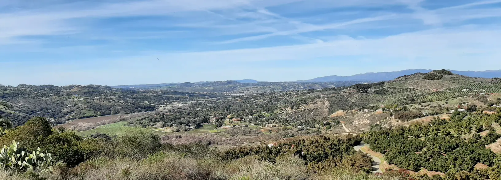 Bonsall history 